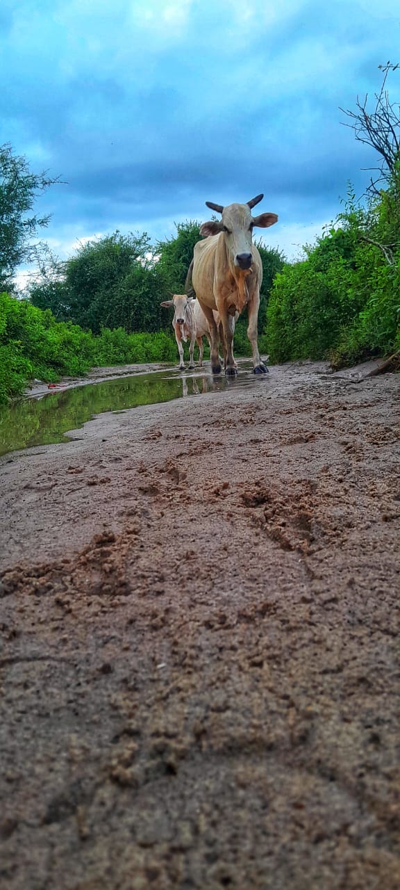 Photography by me