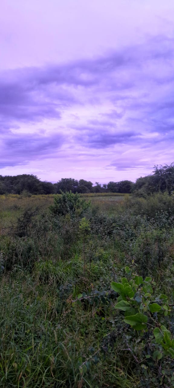 Photography by me